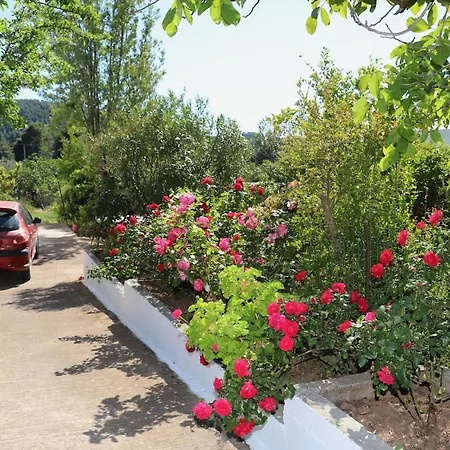 아파트 O Ampelonas Toy Kyr Giorgou 2 Ditropo