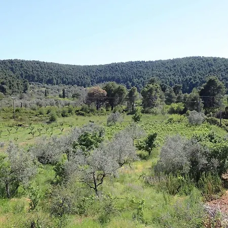 아파트 O Ampelonas Toy Kyr Giorgou 2 Ditropo