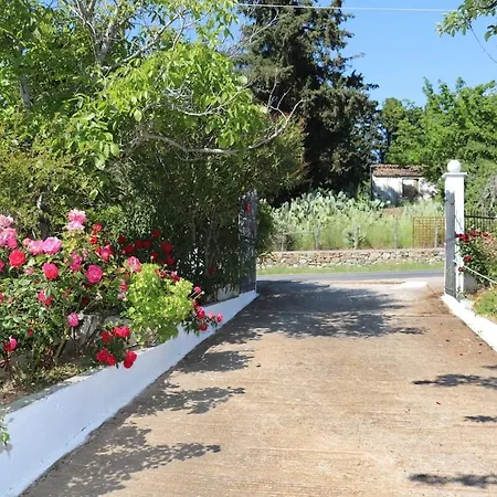 Διαμέρισμα O Ampelonas Toy Kyr Giorgou 2 Δίτροπο