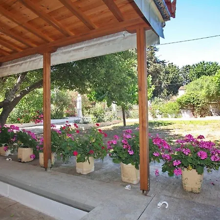 O Ampelonas Toy Kyr Giorgou 2