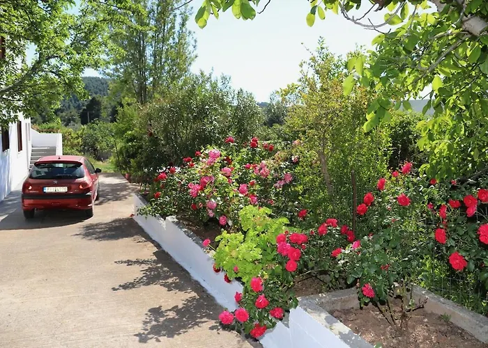 Διαμέρισμα O Ampelonas Toy Kyr Giorgou 2 Δίτροπο