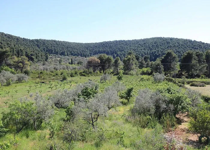 아파트 O Ampelonas Toy Kyr Giorgou 2 Ditropo