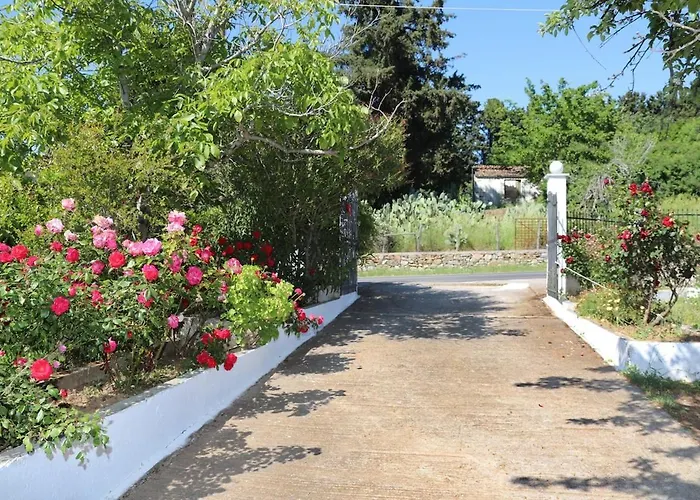 아파트 O Ampelonas Toy Kyr Giorgou 2 Ditropo